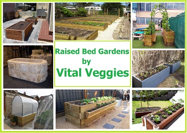  Raised bed garden installation in Adelaide